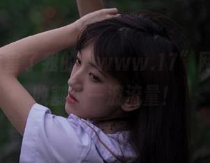 厉害了我的“www.17”网站，又收割了一波流量！