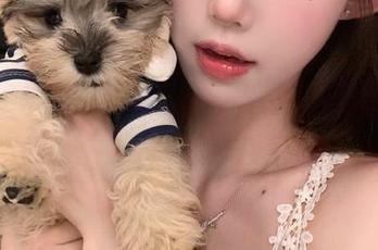 自我安慰？“17吃瓜”官网直达，就当是精致的消遣吧！
