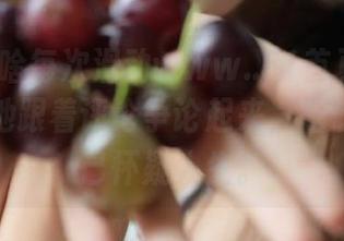为啥每次滑动www..51首页都会情不自禁地跟着评论争论起来，脑洞大到自己怀疑人生。