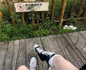 永不迷路，在51cg，找瓜比找路还简单！