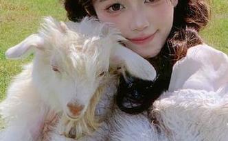 吃瓜有道，cggolive网页版免费开放了，省钱的同时人心却越发复杂了吧？