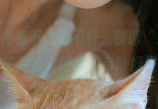 光看不说可不行，聊聊“zztt21”视频里的槽点，有啥好爆的