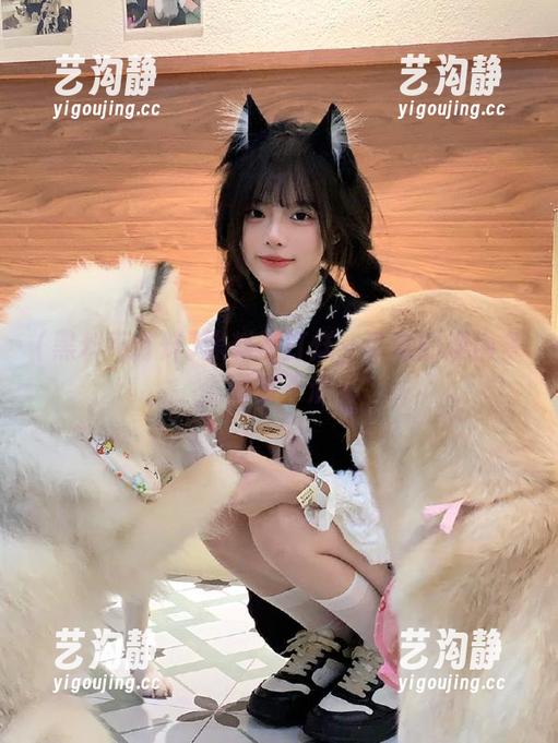 黑料不打烊—收藏的理由多到数不清