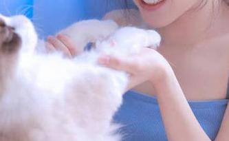 畅游网页，正能量不缺，黑料不打烊成我心中的乐子！