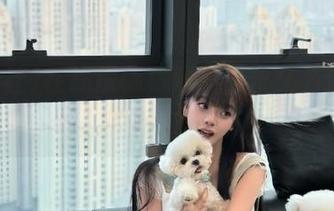 在线探秘，黑料社永久为你存档的那点事儿
